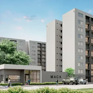 Maca